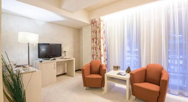 Номер Superior Ioana Boutique Hotel