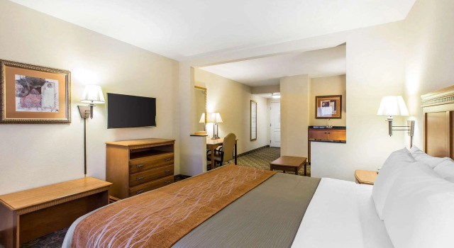 Comfort Inn & Suites, Reserva ahora Hotel Tifton Georgia