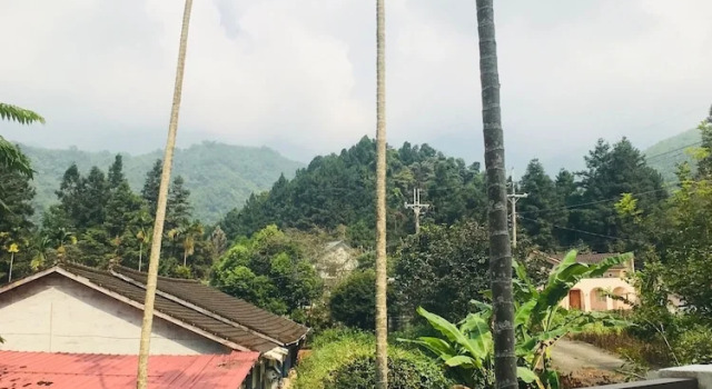 Xitou Bi Xue Shan Lin Homestay, Reserva ahora Bed & breakfast Xitou Taiwán