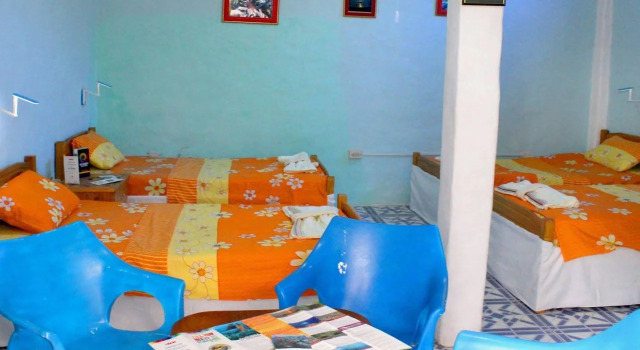 Galapagos Penguin Hostel, Boek Hostel Puerto Ayora 