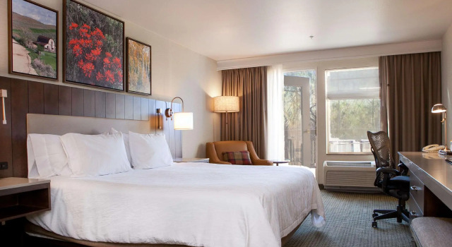 Двухместный номер Standard с видом на реку Hilton Garden Inn Boise / Eagle