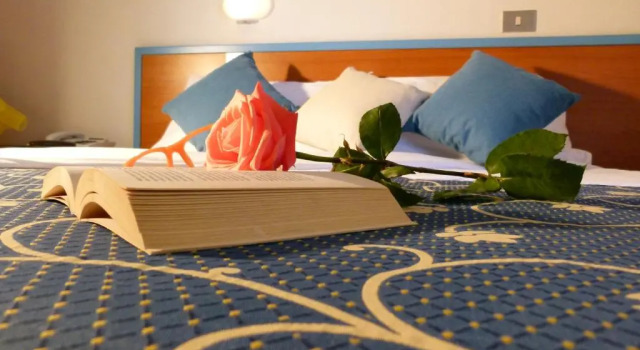 Номер Standard Hotel Paradise