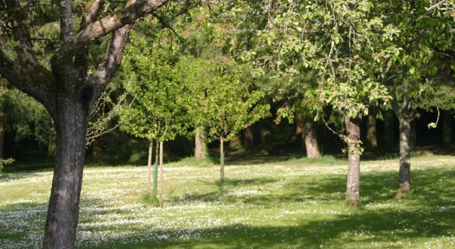 Коттедж c 1 комнатой Maison de vacances LES CHARLOTIERES