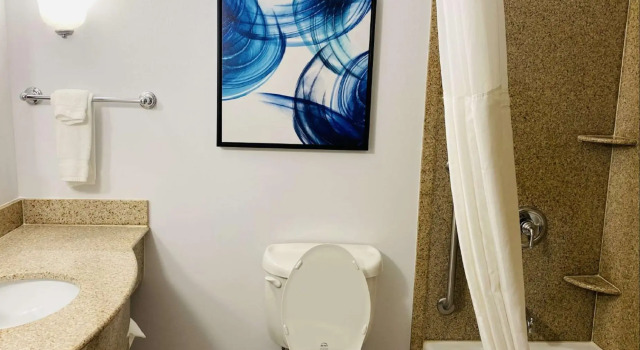 Четырёхместный номер Standard Hilton Garden Inn Columbia