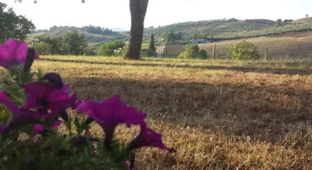 Agriturismo Podere Selvette, Buchen Sie Hotel Campagnatico Toskana