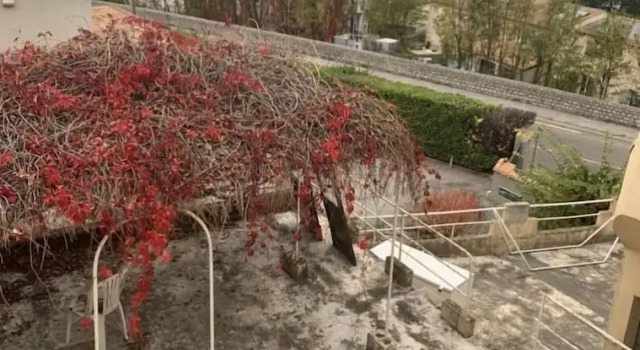 Коттедж Maison de ville grande terrasse