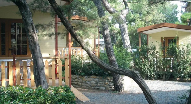 Номер Standard Camping Village Le Esperidi