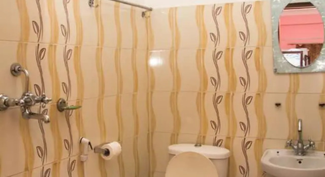 Кровать в общем номере Mount Blue Tourist Hostel