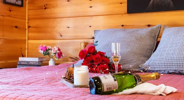 Номер Comfort Smokies Couple Getaway