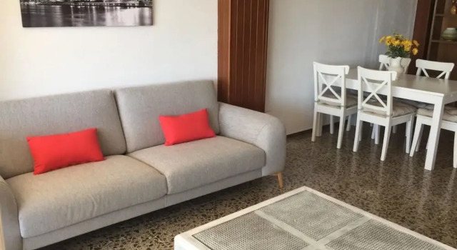 Tulipan 2
