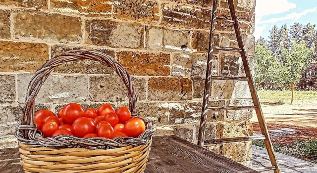 Люкс Masseria Fracchicchi