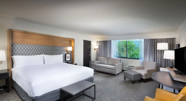 Двухместный люкс с видом на горы Holiday Inn Asheville East-Blue Ridge Pkwy by IHG