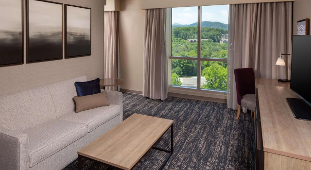 Двухместный полулюкс Hilton Asheville Biltmore Park
