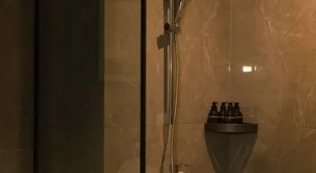 Люкс Business GreenTree Inn Select Hotel (Lixin Yangtian Auto Trade City Branch)