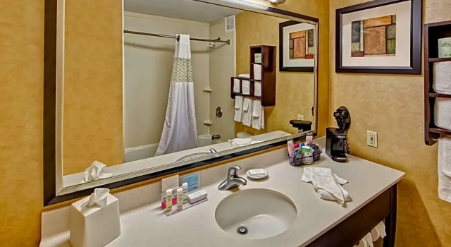 Двухместный номер Deluxe Hampton Inn Laurinburg
