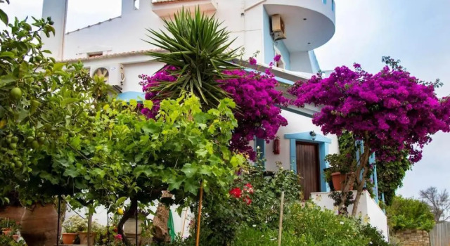 Апартаменты Garden House Apartment