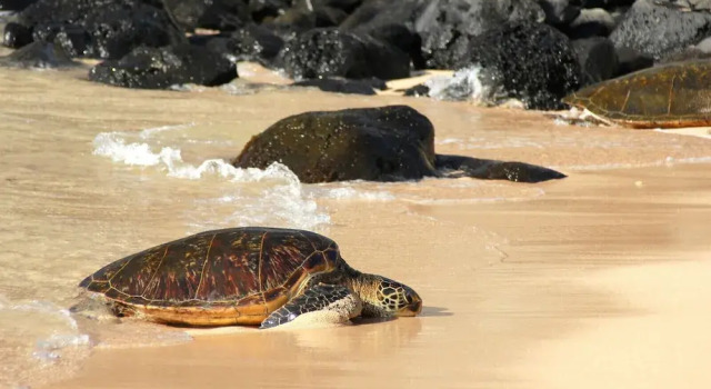 Valley Isle 208, Забронировать Отель Отели West Maui с парковкой, Парковка