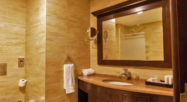 Номер Deluxe Petra Canyon Hotel