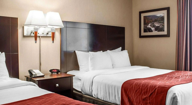 Comfort Inn & Suites Watertown - 1000 Islands, Забронировать Отель Уотертаун штат Нью-Йорк