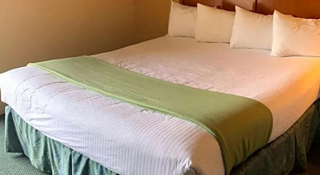 Номер Deluxe Miracle Springs Resort and Spa