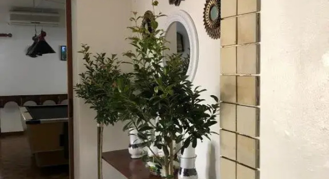 Jnc Guest House