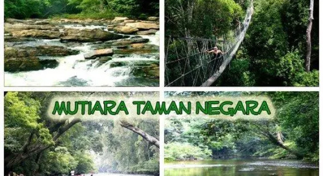 Кровать в общем номере Mutiara Taman Negara