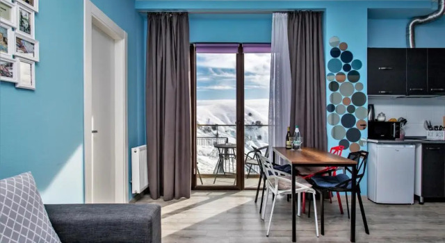 Mountain View 1BR Apartment 101 - Loft 1
