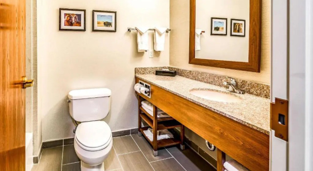 Люкс Comfort Inn & Suites Rapid City South - Mt Rushmore Gateway