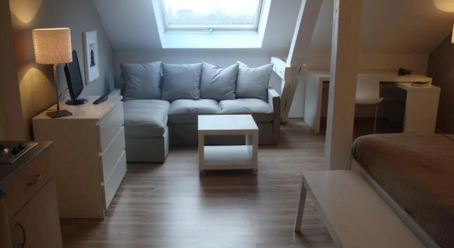 Студия Apartment Hotel Lindeneck