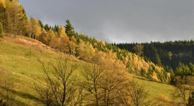 Апартаменты Charmantes Refugium, Harz