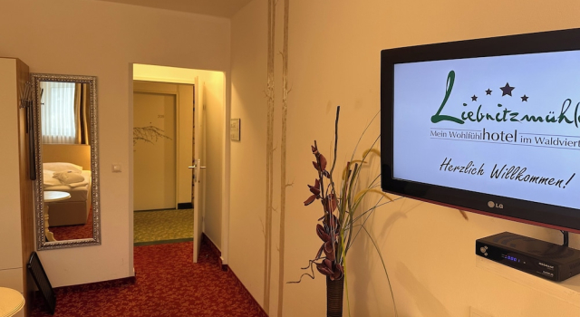 Одноместный номер Standard c 1 комнатой Hotel-Restaurant Liebnitzmühle