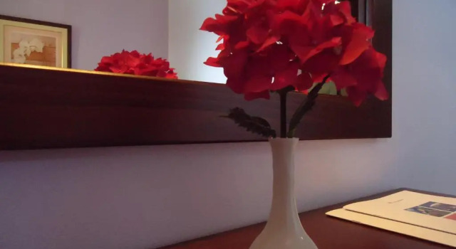 Номер Standard Eden Hotel