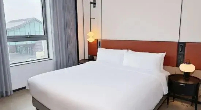 Двухместный семейный люкс с 2 комнатами Artyzen Habitat Suzhou