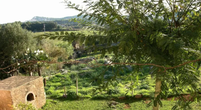 Apartment Agroturisme s Horta