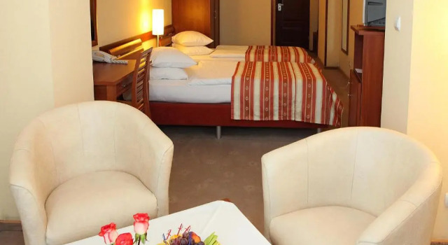 Двухместный номер Standard с видом на город Hotel Uzhgorod