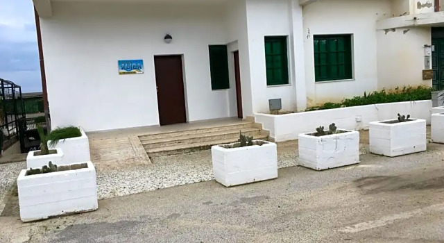 B&B Aliga