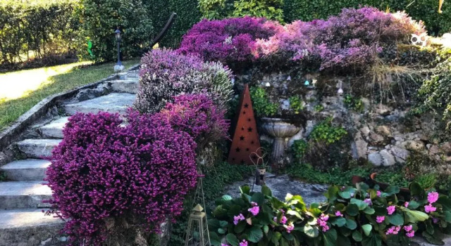 Коттедж Les Étoiles Bellagio
