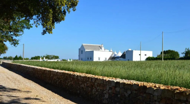 Номер Standard Masseria Faraone