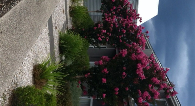 Quest Williamstown North, Book Hotel Hoteller i Melbourne med pool, Swimmingpool