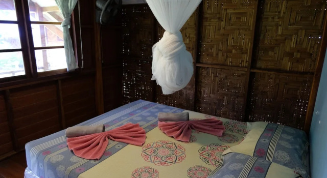 Coconut Corner