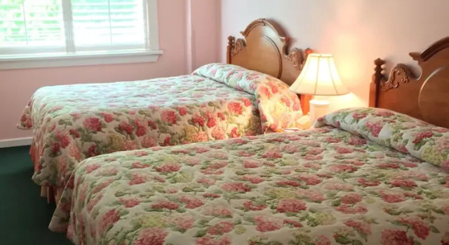 Номер Standard Lilac Tree Suites
