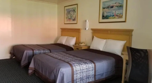 Двухместный номер Standard Budget Lodge
