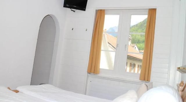 Двухместный номер Classic Zunfthaus zur Rebleuten