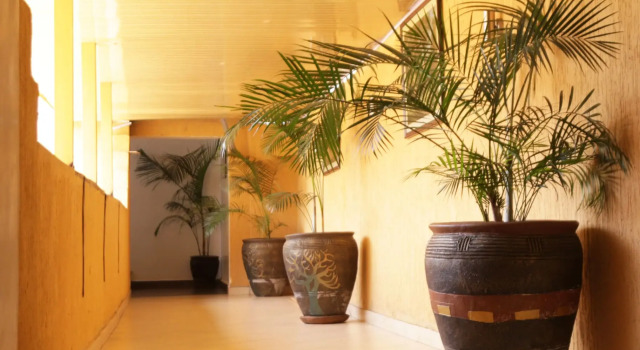 Elite Suites Hotel