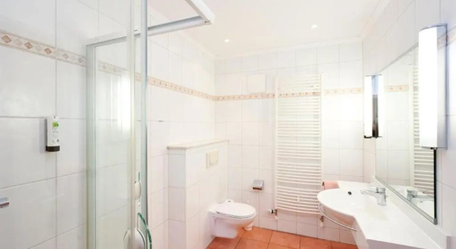 Трёхместный номер Standard Hotel Hochheide