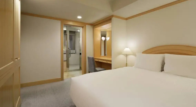 Двухместный полулюкс с видом на город Fairfield by Marriott Sapporo
