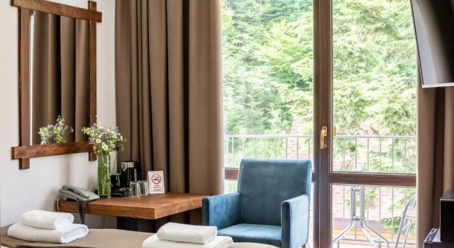Номер Standard Osonnya Karpaty RESORT MEDICAL & SPA