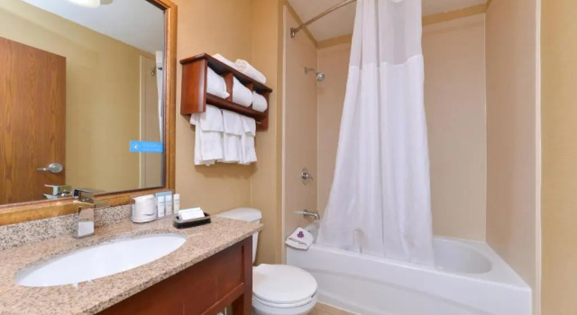 Двухместный номер Deluxe Hampton Inn Columbus-East