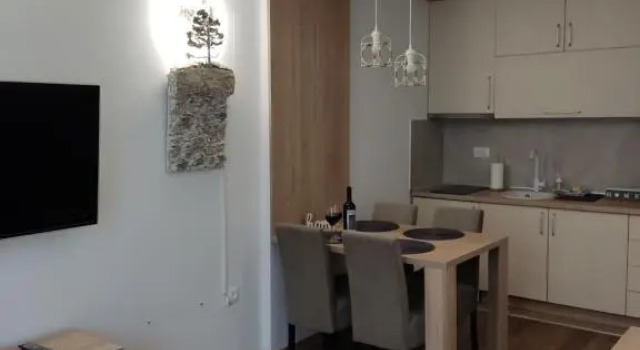 Presidentkopa106, Buchen Sie Hotel Kopaonik 