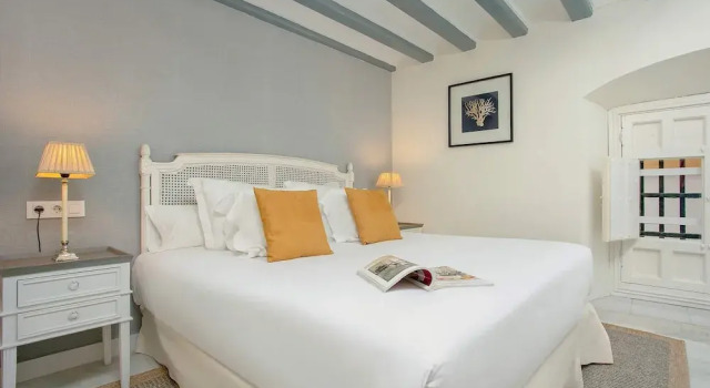 Luxury Apartament in Seville. San Isidoro II